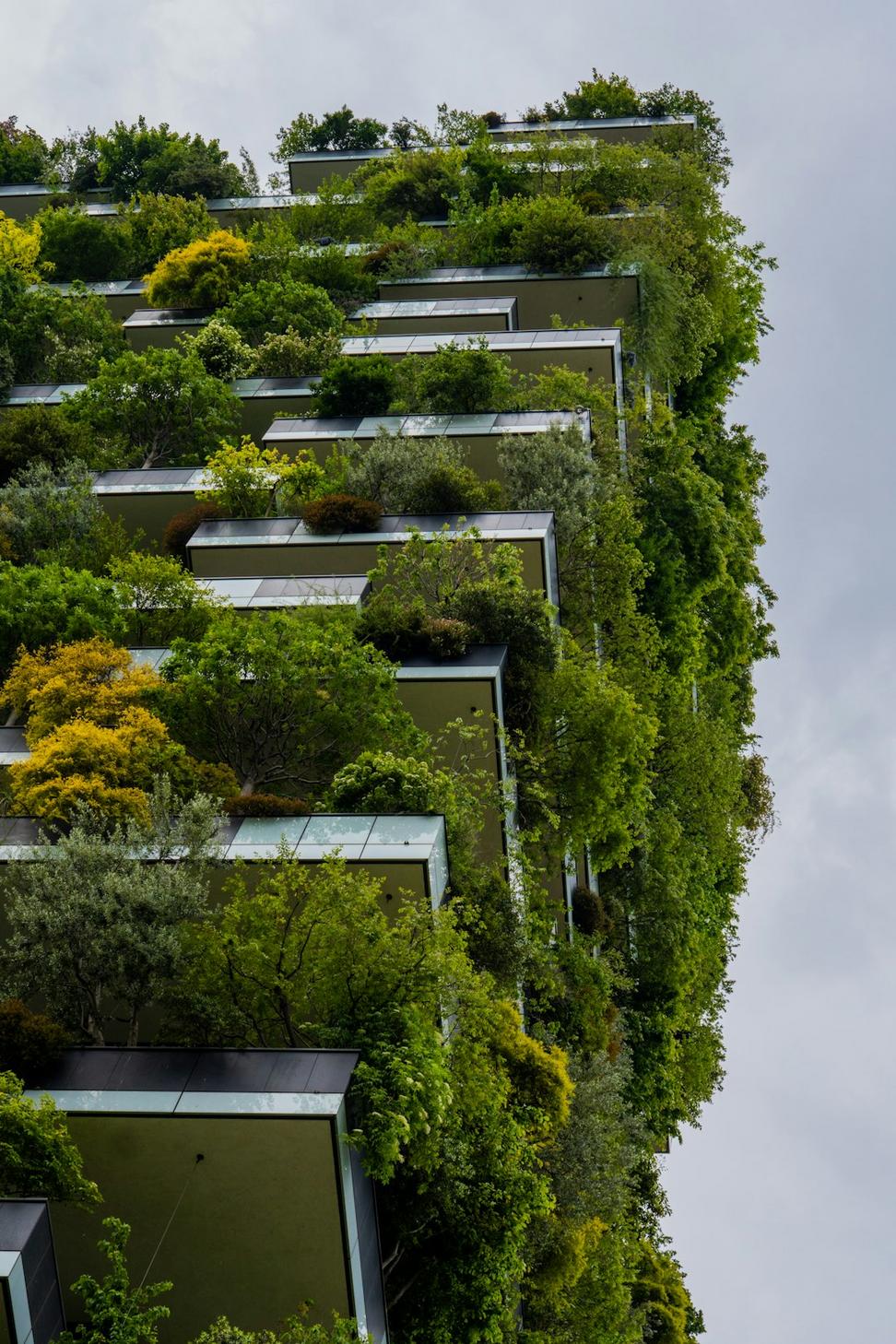 Green features